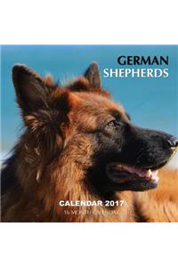 German Shepherds Calendar 2017