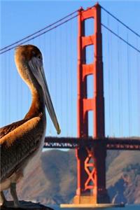 A Pelican at the Golden Gate Bridge in San Francisco California Journal