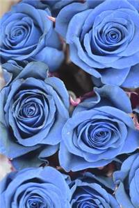 Blue Roses Because Blue Roses Flower Journal