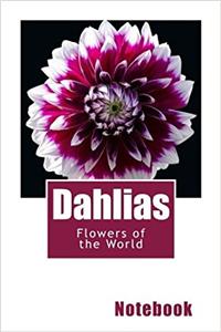 Dahlias