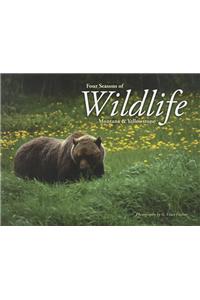 Four Seasons of Wildlife: Montana & Yellowstone