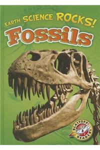 Fossils
