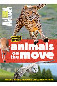 Animals on the Move (Animal Planet Animal Bites)