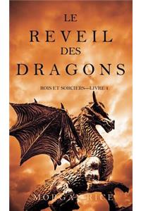 Le Réveil des Dragons (Rois et Sorciers -Livre 1)