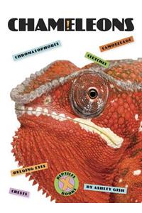 Chameleons