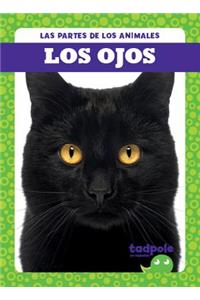 Los Ojos (Eyes)