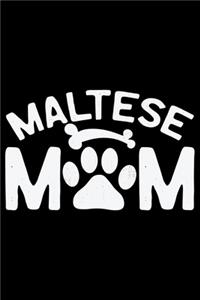 Maltese Mom