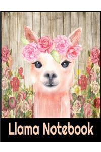 Llama Notebook