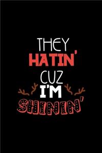 They Hatin' Cuz I'm Shinin'