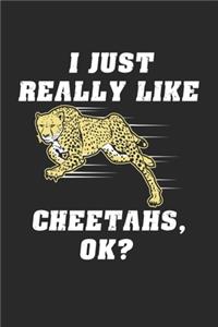 I Just Really Like Cheetahs OK?