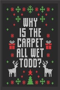 why is the carpet all wet todd