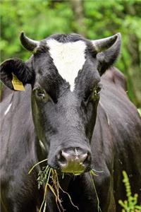 Fat Happy Cow in a Field Journal