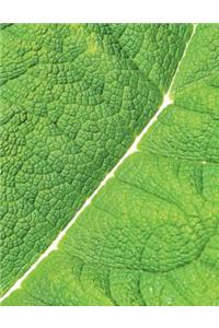 Leaf Veins Sketchbook