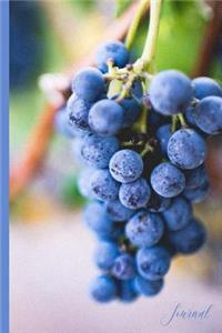 Bunch of Grapes Journal