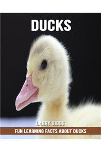Fun Learning Facts about Ducks