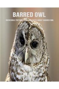 Barred Owl