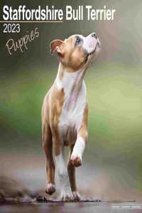 Staffordshire Bull Terrier Puppies 2023 Wall Calendar