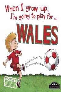 When I Grow Up I'm Going to Play for Wales