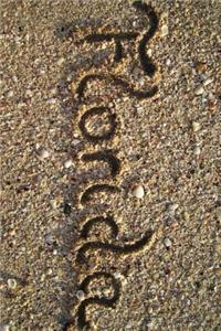 Florida on the Beach Journal