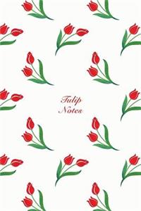 Tulip Notes