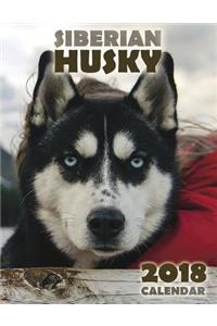 The Siberian Husky 2018 Calendar