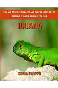 Iguana