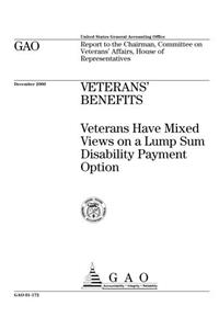 Veterans Benefits: Veterans Have Mixed Views on a Lump Sum Disability Payment Option