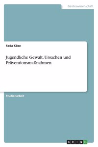 Jugendliche Gewalt. Ursachen und Präventionsmaßnahmen