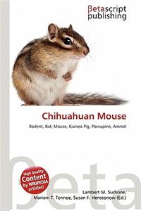 Chihuahuan Mouse
