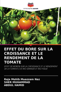 Effet Du Bore Sur La Croissance Et Le Rendement de la Tomate
