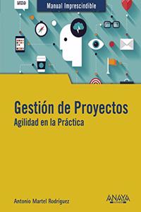 Gestion de Proyectos. Agilidad en la Practica