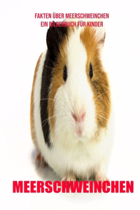 Meerschweinchen