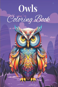 Owls Coloring Book