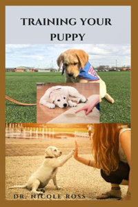 Training Your Puppy