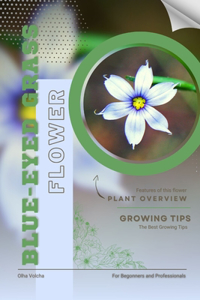 Blue-Eyed Grass