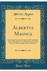 Albertus Magnus