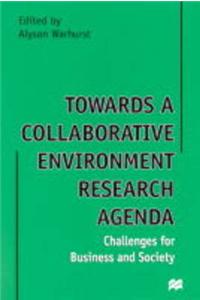 Towards a Collaborative Environment Research Agenda: Challenges for Business and Society