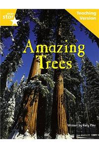 Fantastic Forest Yellow Level Non-fiction: Amazing Trees Teaching Version