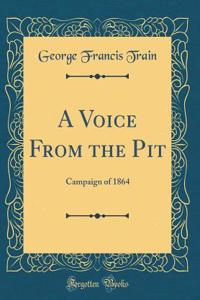 A Voice From the Pit: Campaign of 1864 (Classic Reprint)