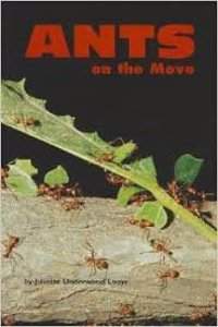 Reading 2000 Leveled Reader Pkg 4.097a Ants on the Move