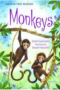Monkeys