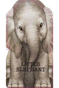 Little Elephant