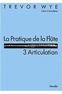 La Pratique De La Flute