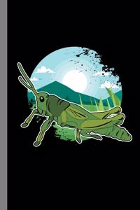 Grasshopper