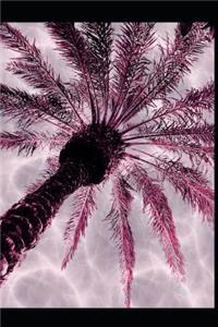 Pink Palm Tree