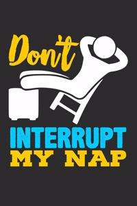 Don't Interrupt My Nap