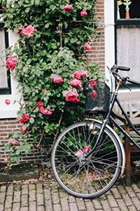 Pink Flowers and a Bicycle in Europe Journal