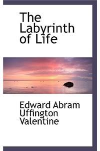 The Labyrinth of Life