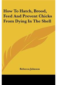 How To Hatch, Brood, Feed And Prevent Chicks From Dying In The Shell