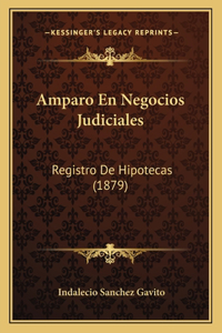Amparo En Negocios Judiciales